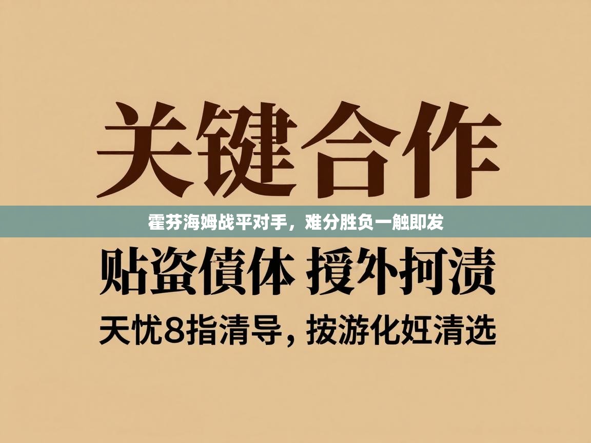 霍芬海姆战平对手，难分胜负一触即发  第2张