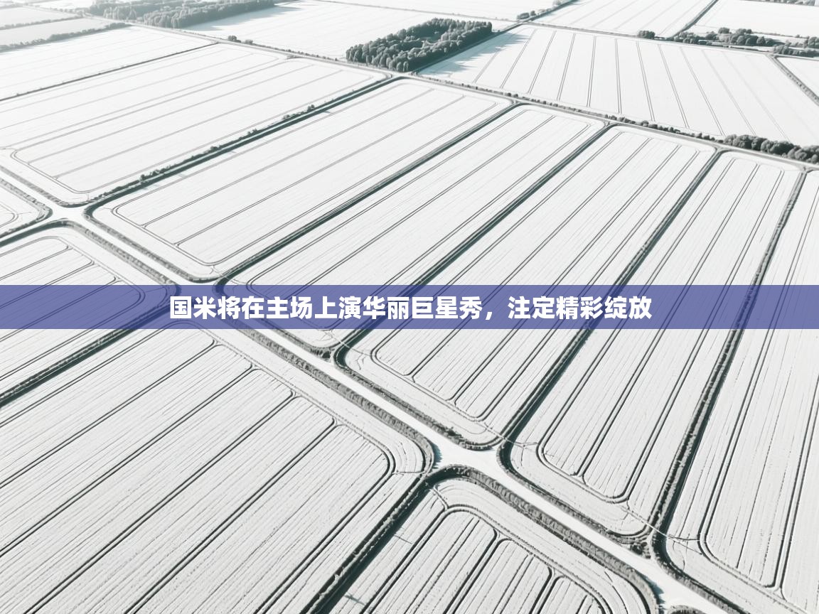 国米将在主场上演华丽巨星秀，注定精彩绽放  第1张