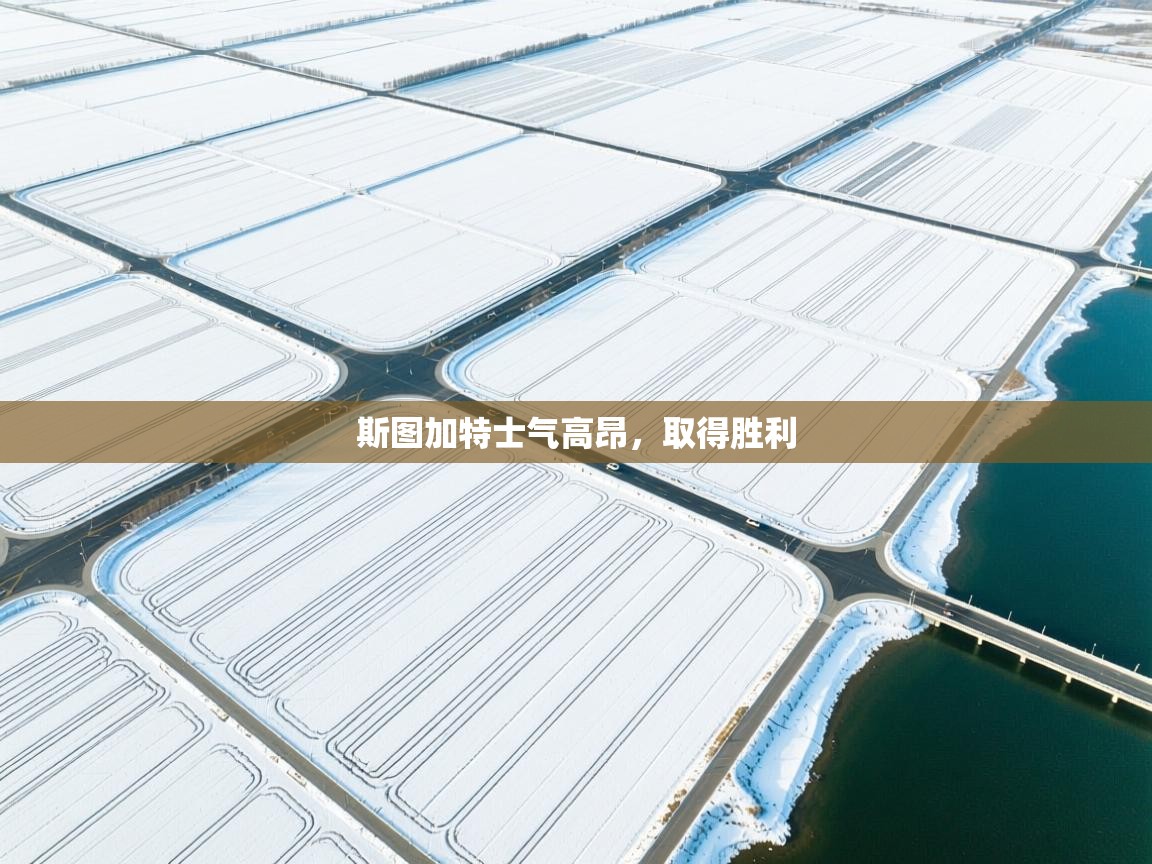 斯图加特士气高昂，取得胜利