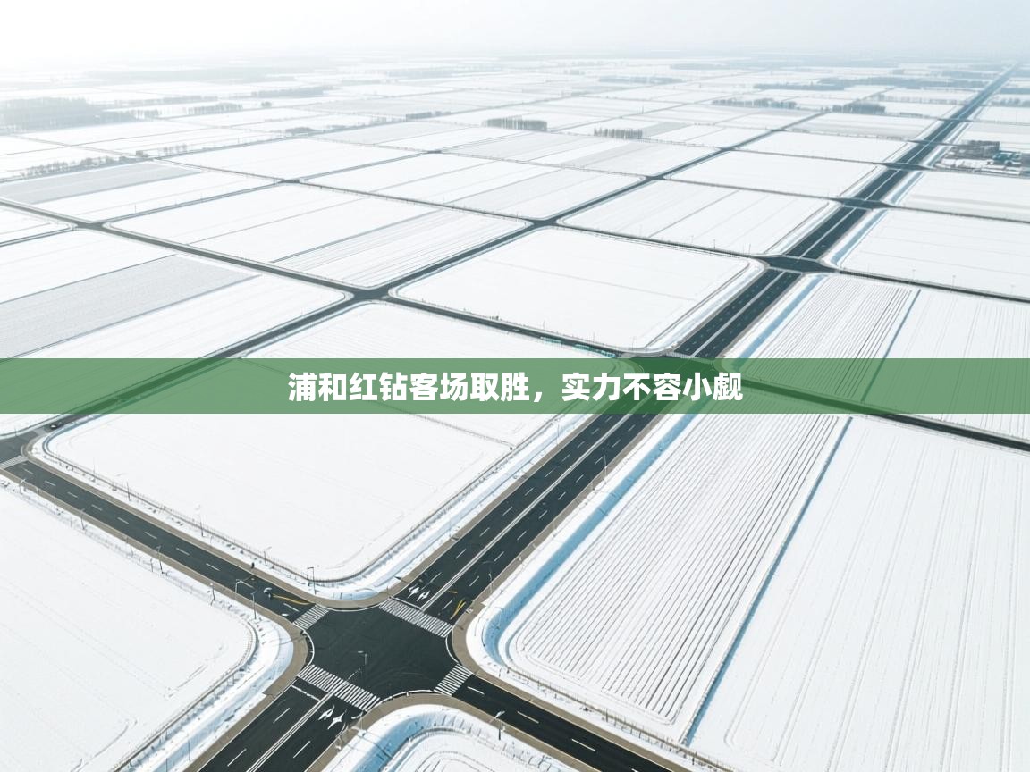 浦和红钻客场取胜，实力不容小觑  第1张