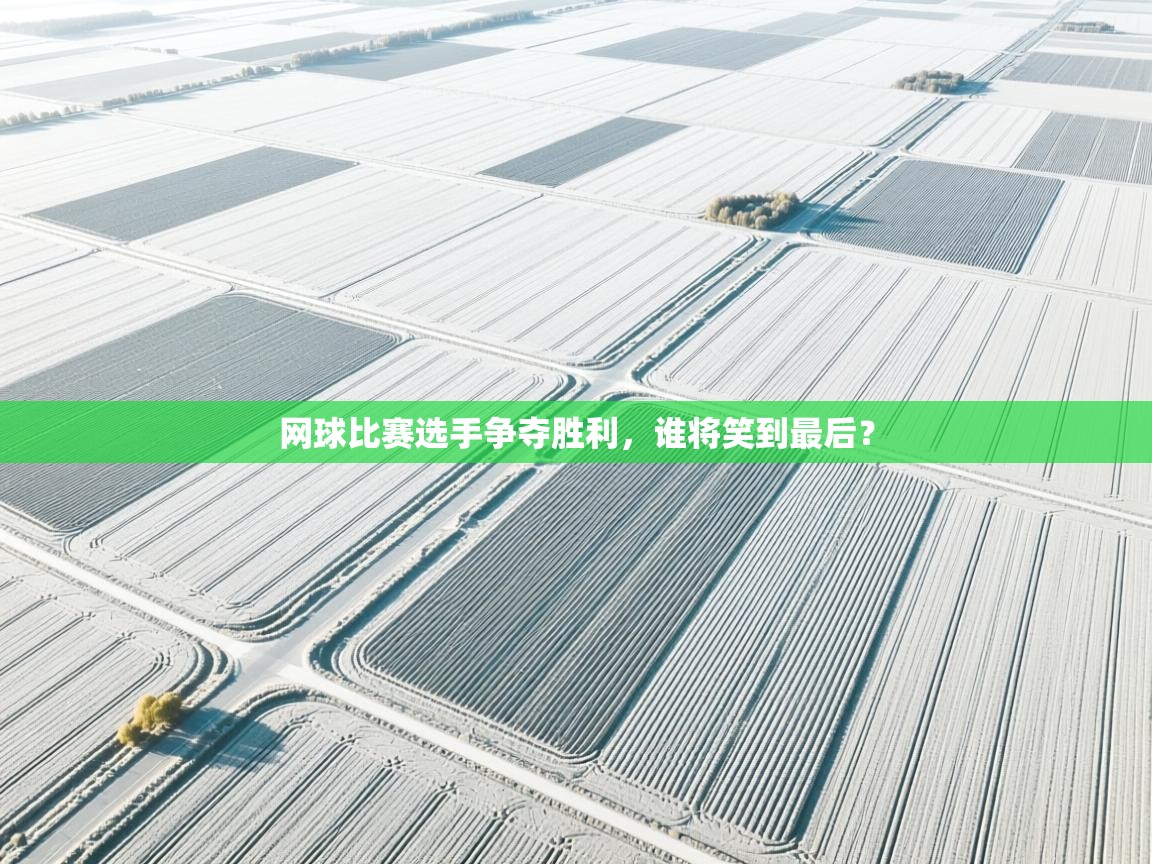 网球比赛选手争夺胜利，谁将笑到最后？  第2张