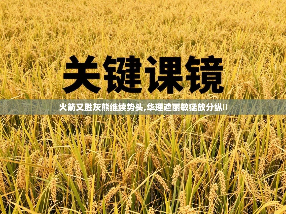 火箭又胜灰熊继续势头,华理遮丽敏猛放分纵盪  第1张