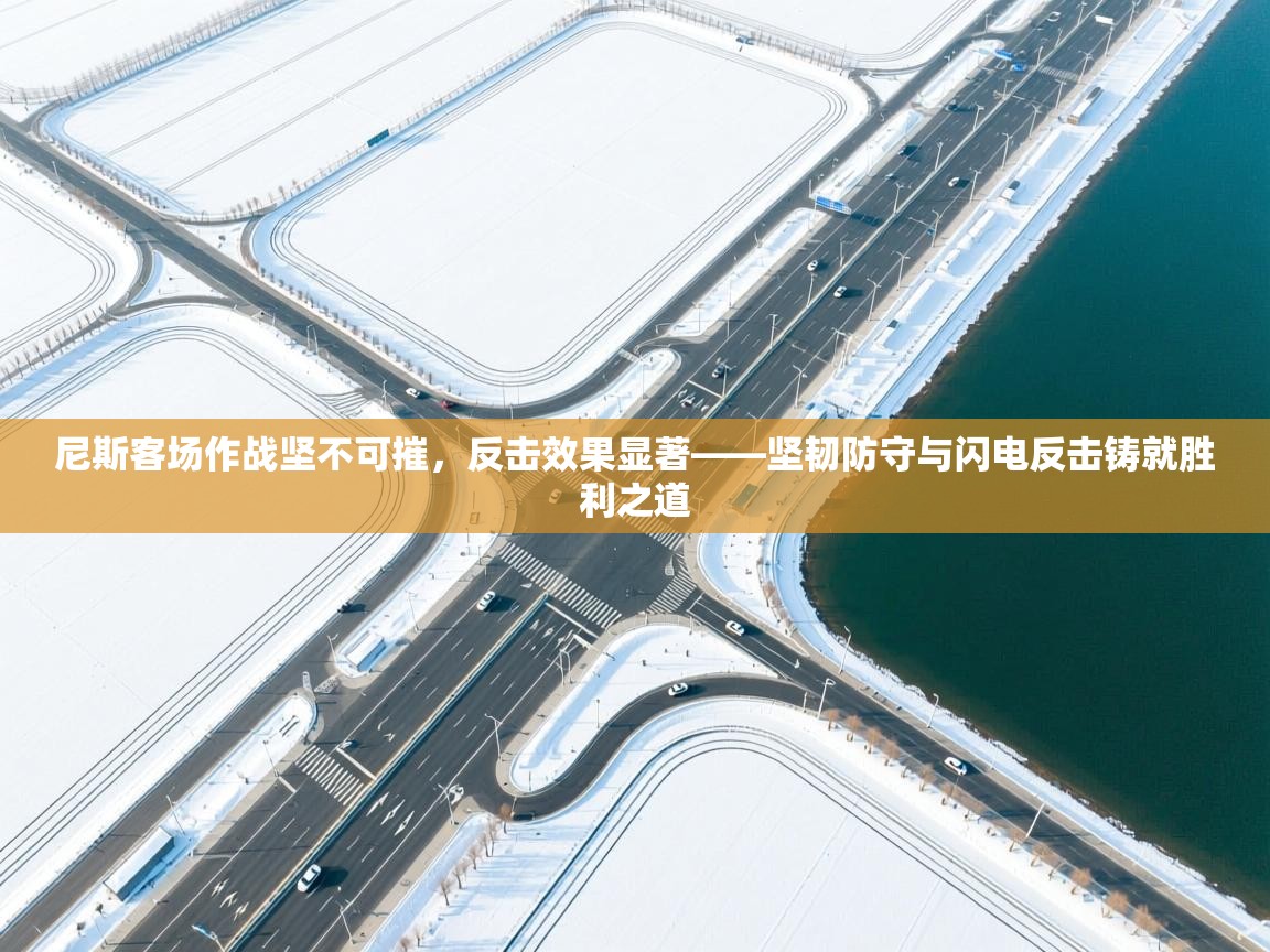 尼斯客场作战坚不可摧,反击效果显著——坚韧防守与闪电反击铸就胜利之道 第2张